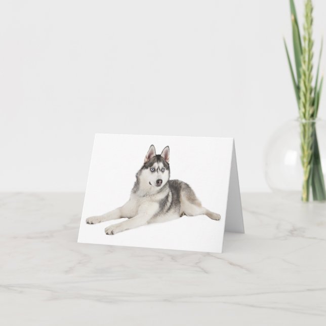 Blank Siberian Husky Welpe Hund Hallo Liebe Miss S Karte (Vorderseite)