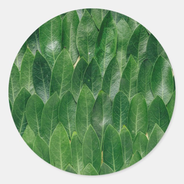 Blank Template Green Leaf Muster Print Runder Aufkleber (Vorderseite)