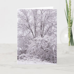 Blank Winter Scene Card Karte