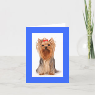 Blank Yorkshire Terrier Puppy Dog Notecard Dankeskarte