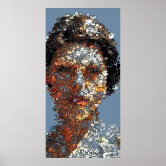 Blanka Vlasic portrait Poster