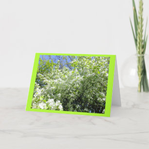 Blanke-Karte des Dornbaums in der Blume Karte