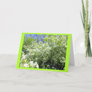 Blanke-Karte des Dornbaums in der Blume Karte