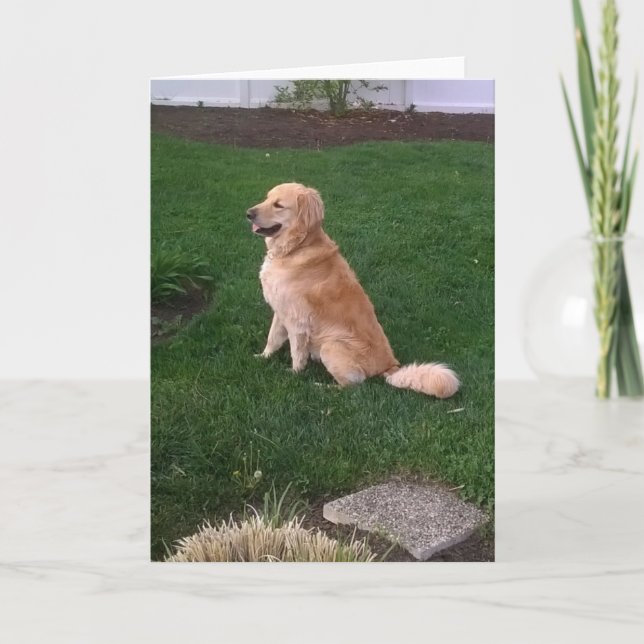 Blanke Note Card mit Golden Retriever Jake Karte (Vorderseite)
