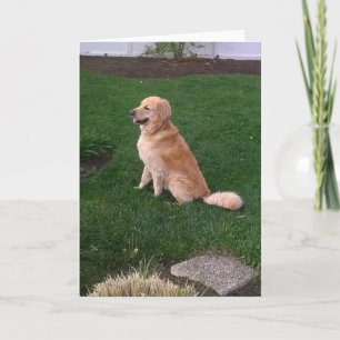 Blanke Note Card mit Golden Retriever Jake Karte