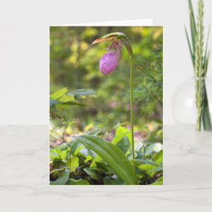 Blankenkarte der rosa Dame Karte