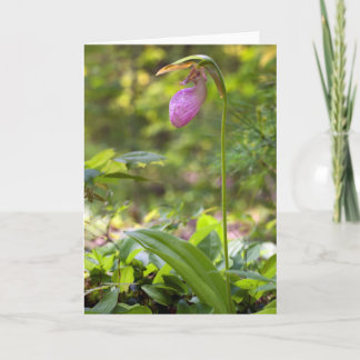 Blankenkarte der rosa Dame Karte