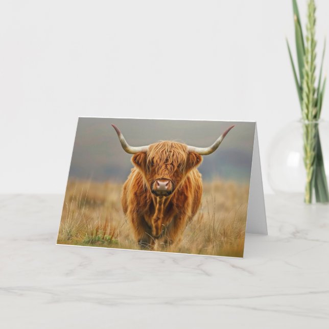 Blankenkarte für die Kuhherde Dankeskarte (Vorderseite)