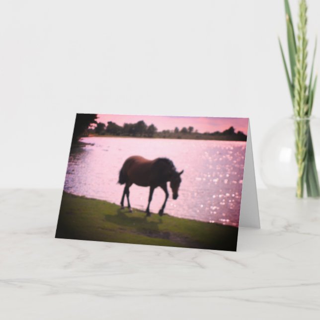 Blankenkarte Pferd und Sonnensee Karte (Vorderseite)