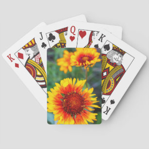Blanket Blume aka brauner mit Augen Sushan im Glet Spielkarten