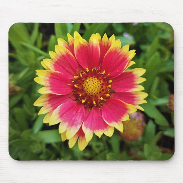 Blanket-Blume Mousepad (Vorne)