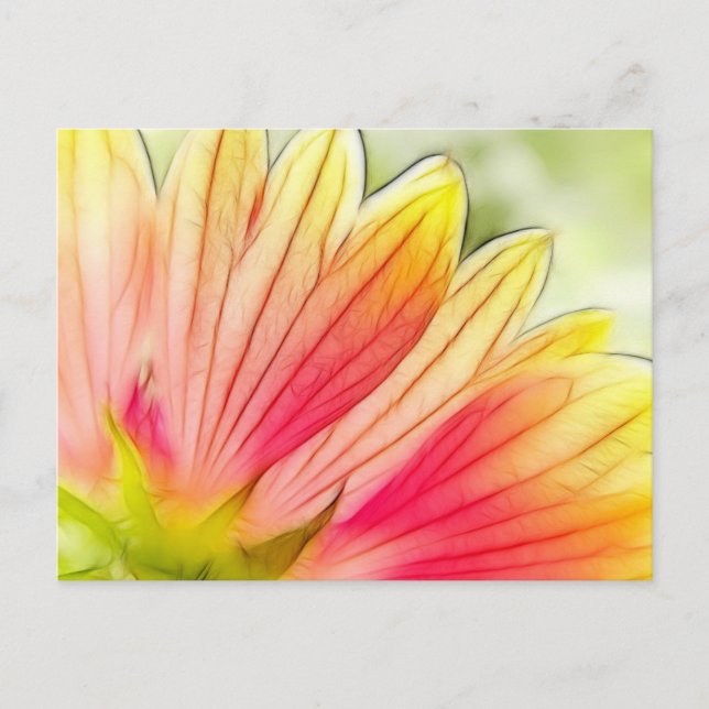 Blanket Blume Petals Nah Postkarte (Vorderseite)