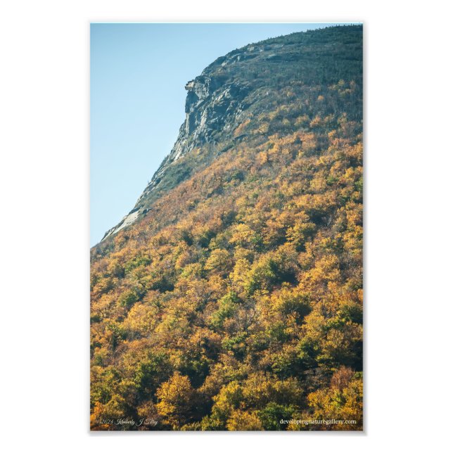 Blanket des Herbstes Fotodruck (Vorne)