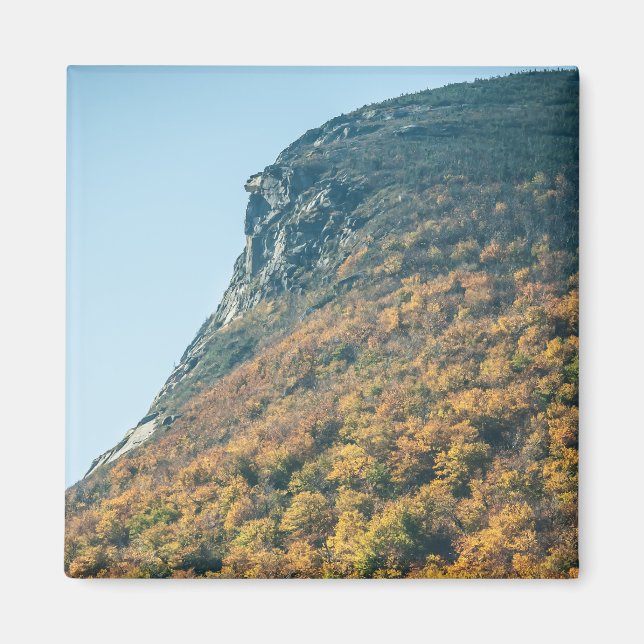 Blanket des Herbstes Magnet (Vorne)