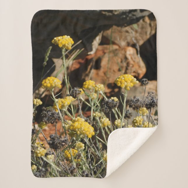 Blanket Sherpadecke (Vorderseite)