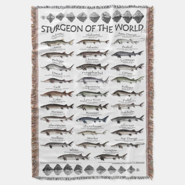 BLANKET - STURGEON OF THE WORLD POSTER - ERSTE JE DECKE (Vorderseite Vertikal)