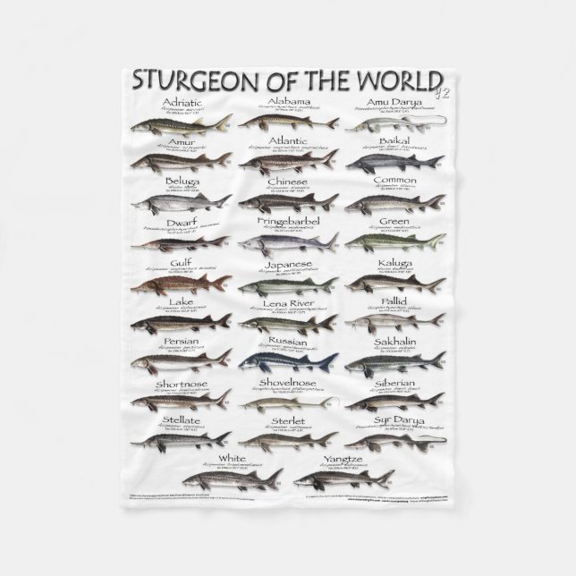 BLANKET - STURGEON OF THE WORLD POSTER - ERSTE JE FLEECEDECKE (Vorderseite)