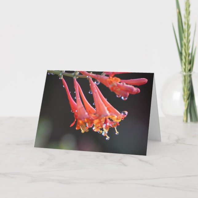 Blankkarte - Morgengau Karte (Vorderseite)