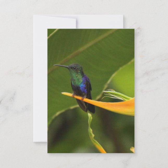 Blankokarte (Vorderseite)