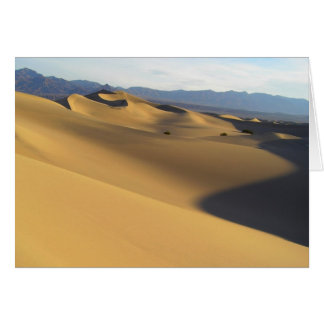 Blankokarte "Best of Death Valley"