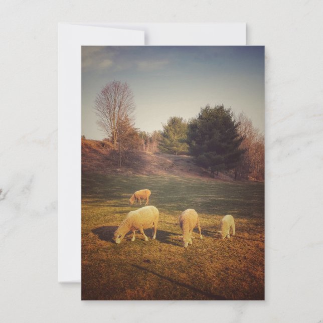 Blankokarte Dankeskarte (Vorderseite)