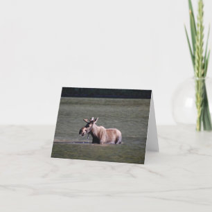 Blankokarte des Fotos entfernen