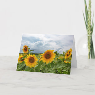 Blankokarte des Sonnenblumensturms Dankeskarte