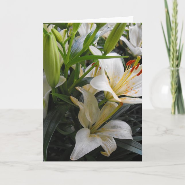 Blankokarte für Blume mit weißer Lilie Dankeskarte (Vorderseite)