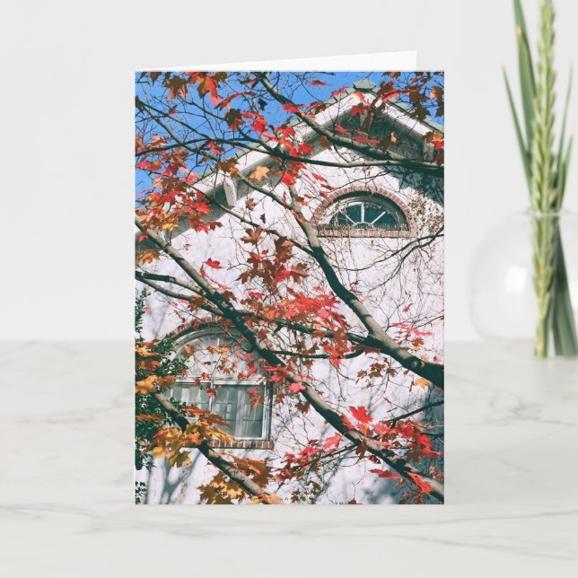 Blankokarte "Herbst mit blauem Himmel" Karte (Vorderseite)