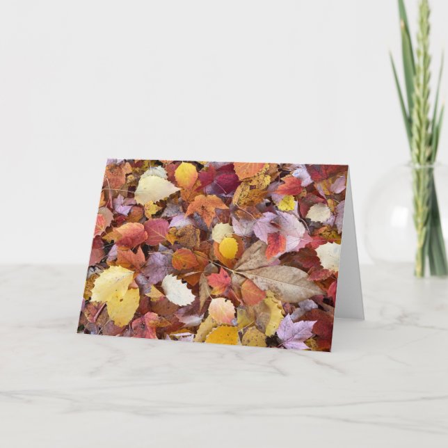 Blankokarte im Herbst Karte (Vorderseite)