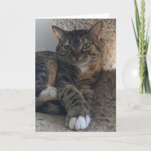 Blankokarte Karte (Vorderseite)