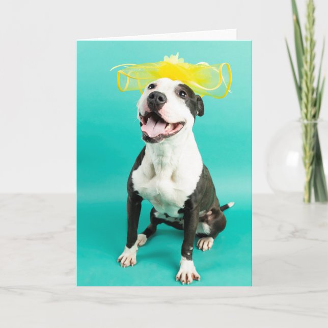 Blankokarte Karte (Vorderseite)