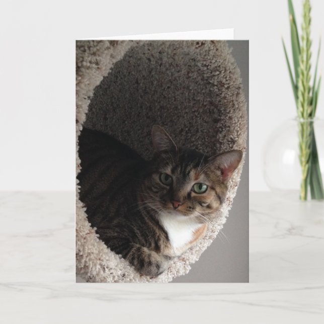 Blankokarte Karte (Vorderseite)