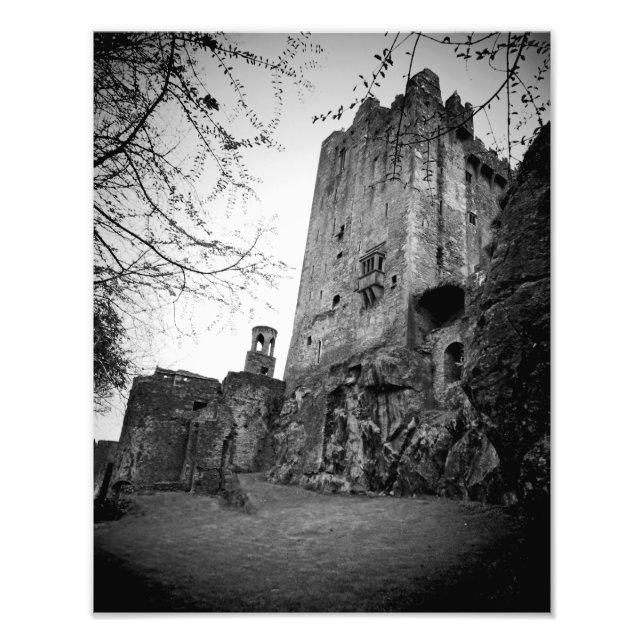 Blarney Castle Fotodruck (Vorne)