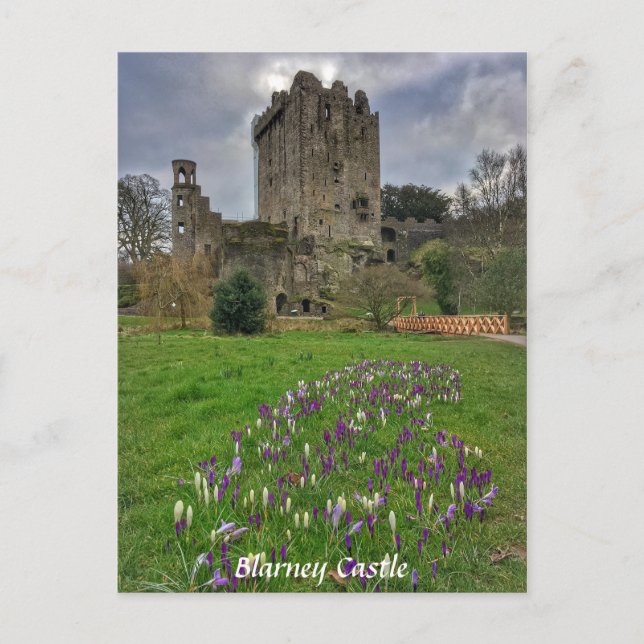 Blarney Castle, Landkreis Cork, Irland Postcard Postkarte (Vorderseite)