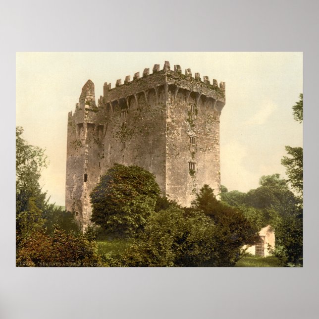 Blarney Castle, Landkreis Cork Poster (Vorne)
