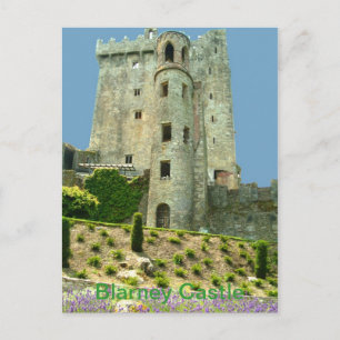 Blarney Castle Landkreis Cork Postkarte