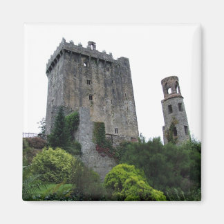 Blarney Castle & Tower, Cork, Ireland Magnet