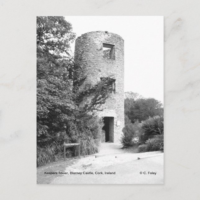 Blarney Castle Tower Postkarte (Vorderseite)
