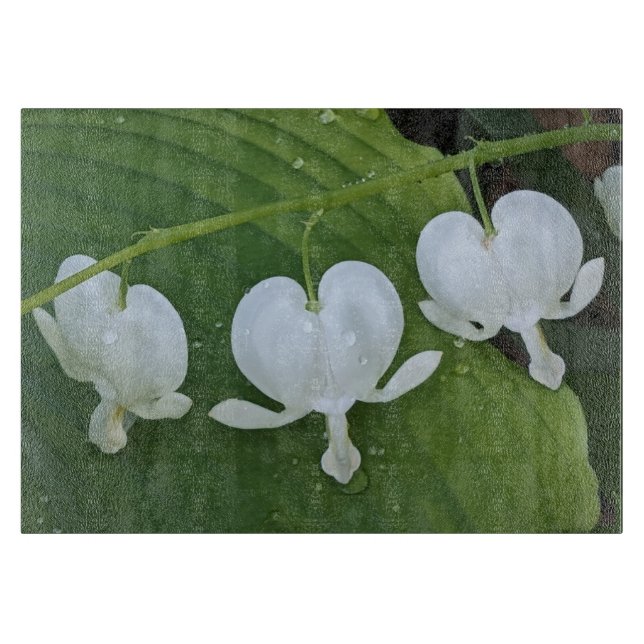 Bläschenblutung Schneidebrett (Vorderseite)