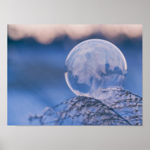 Blase auf Leaf Poster