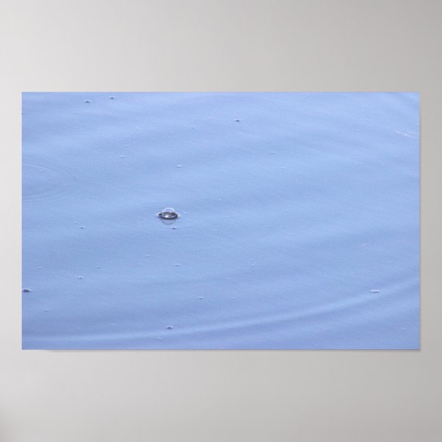 Blase in Poster (Vorne)