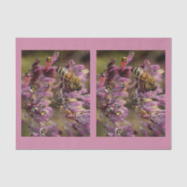 Blasen-Bienen-Seidenpapier Seidenpapier