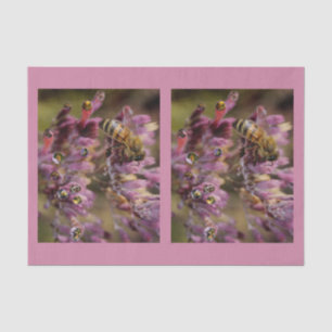 Blasen-Bienen-Seidenpapier Seidenpapier