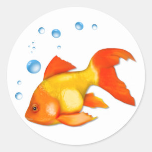 Blasen die Goldfish Runder Aufkleber