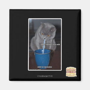 Blasen in unserer Milch Magnet