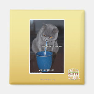 Blasen in unserer Milch Magnet