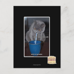 Blasen in unserer Milch Postkarte