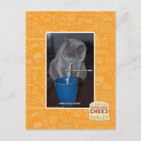 Blasen in unserer Milch