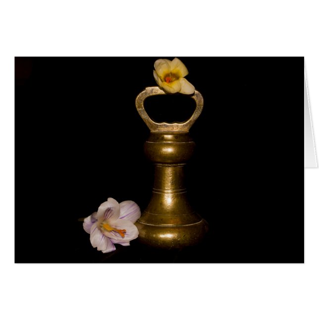 Bläserattraktion (Vorderseite (Horizontal))